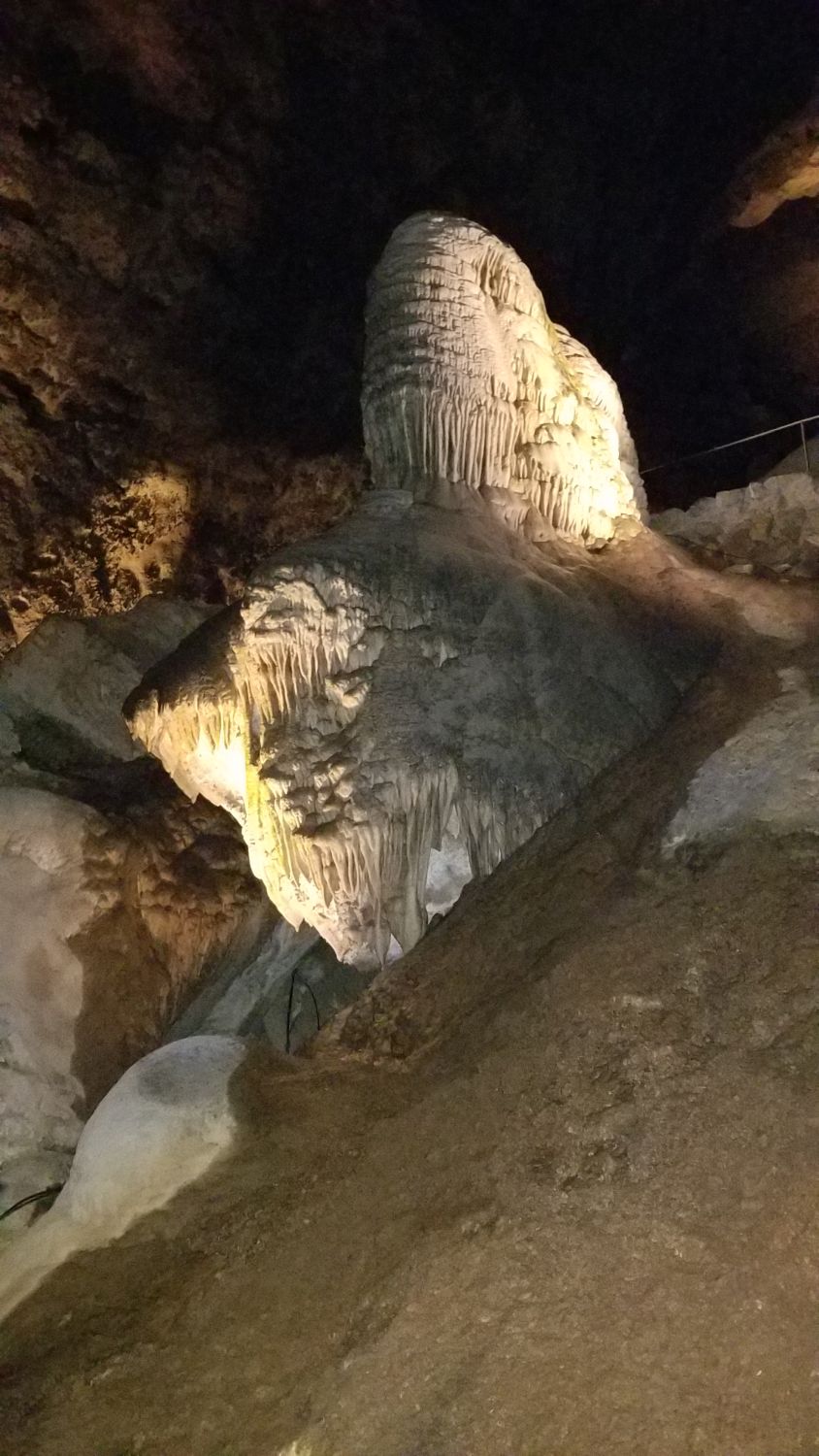 Carlsbad Caverns 